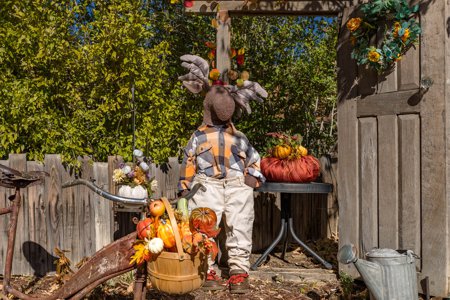 Fall Impressions at The Inn at Pennington Place in Walsenburg