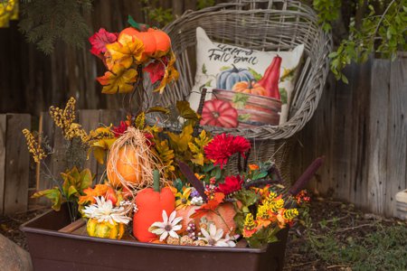 Fall Impressions at The Inn at Pennington Place in Walsenburg