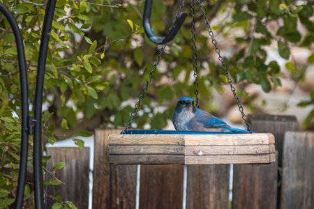 Fall Impressions at Pennington Place in Walsenburg