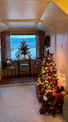 Wedding Photos from Old Fashioned Christmas Gala at Pennington Place in Walsenburg