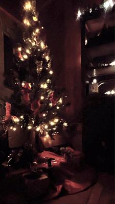 Old Fashioned Christmas Gala at Pennington Place in Walsenburg