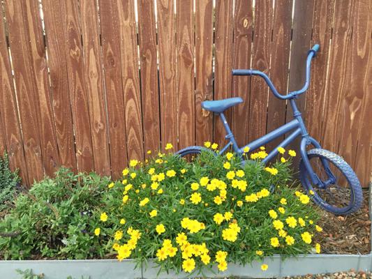The Grounds at The Inn at Pennington Place in Walsenburg