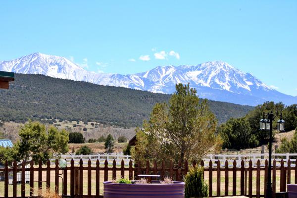 Wedding Photos from The Inn at Pennington Place in Walsenburg